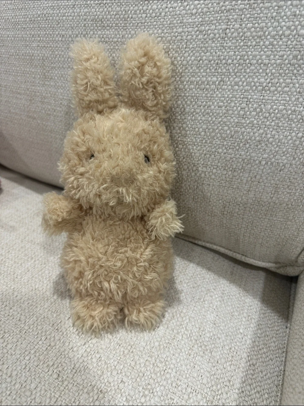 Jellycat Plush Bunny - Picture 3 of 3